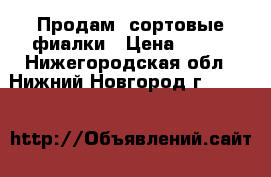 Продам  сортовые фиалки › Цена ­ 200 - Нижегородская обл., Нижний Новгород г.  »    